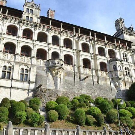 Appartement Coeur De Blois /Heart Of The City Exterior foto