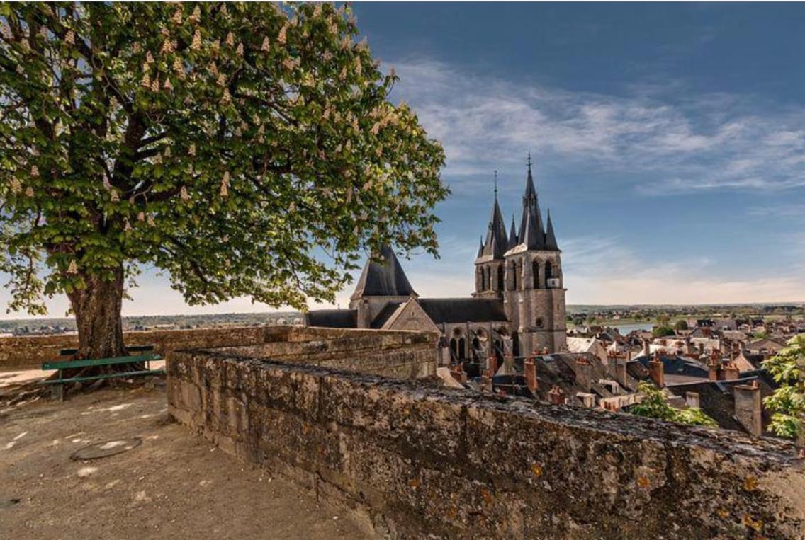 Appartement Coeur De Blois /Heart Of The City Exterior foto